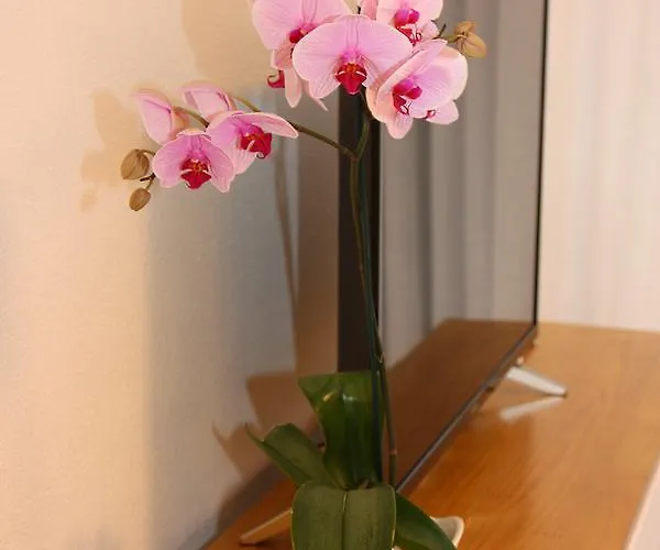 Beautiful In Apartamerica, Americas La140 *